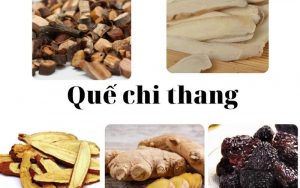 bài thuốc trị cảm lạnh