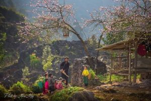 Ha Giang weather in December