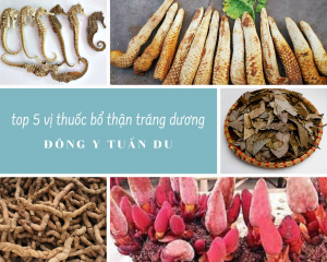 top 5 vị thuốc bổ thận tráng dương