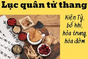 Lục Quân Tử Thang - Kiện tỳ vị , bổ khí, hòa trung, hóa đờm