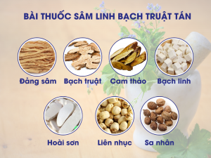 Các bài thuốc bổ tỳ vị