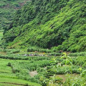 After Typhoon Yagi, the weather in Hà Giang is clear with beautiful sunshine, making it perfect for exploration trips