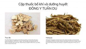 cặp thuốc bổ khí dưỡng huyết