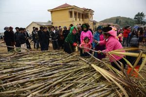 Trò chơi chặt mía tại thành phố hà giang