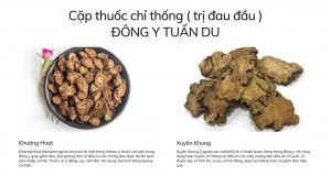 Cặp Thuốc Chỉ Thống Hiệu Quả Trị Đau Đầu Trong Đông Y