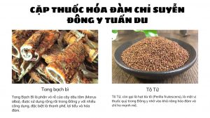 cặp thuốc hóa đàm chỉ suyễn