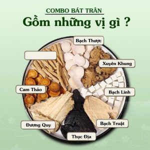 bát trân thang, bồi bổ khí huyết