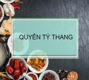 bài thuốc quyên tý thang