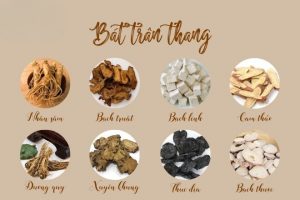 bát trân thang, bồi bổ khí huyết